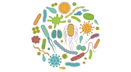 Master di Nutrizione,probiotica ed agopuntura nella modulazione del microbiota intestinale 2021